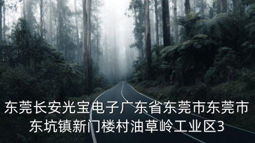 東莞長安光寶電子廣東省東莞市東莞市東坑鎮新門樓村油草嶺工業區3