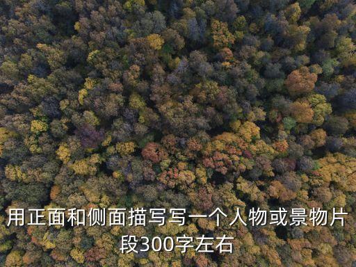人物風景，求人物描寫和景物描寫各20段每段不少于200字