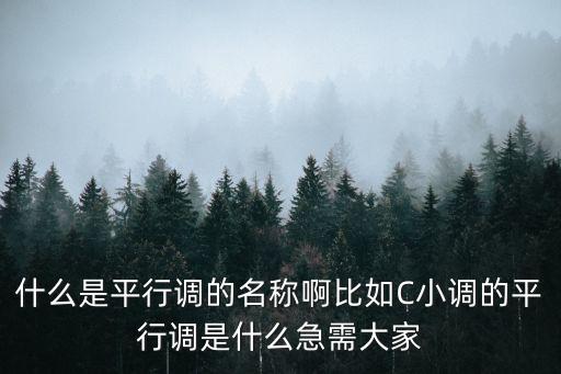 平行大小調(diào)，關系大小調(diào)就是平行調(diào)嗎