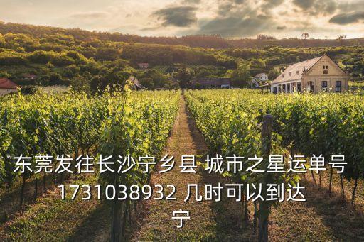 東莞發往長沙寧鄉縣 城市之星運單號1731038932 幾時可以到達寧