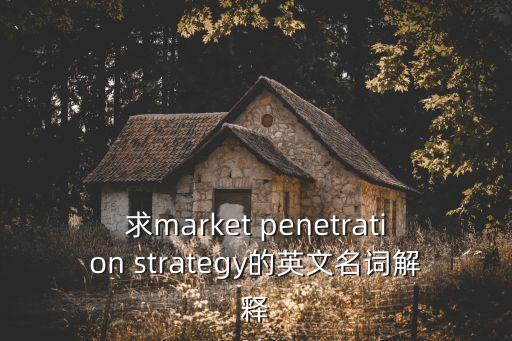 求market penetration strategy的英文名詞解釋
