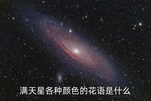 滿天星各種顏色的花語是什么