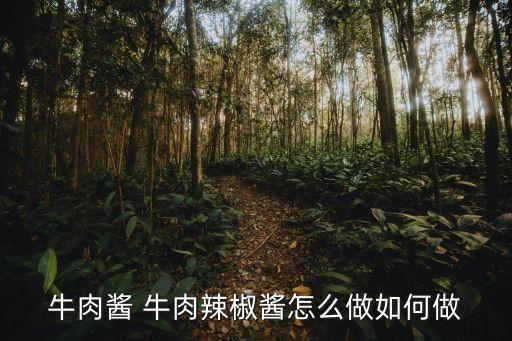 牛肉醬 牛肉辣椒醬怎么做如何做