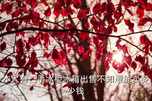 本人有二手冰柜冰箱出售不知道能賣多少錢