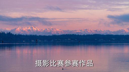 攝影大賽作品，攝影比賽參賽作品