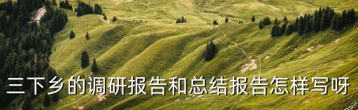 三下鄉(xiāng)的調(diào)研報告和總結(jié)報告怎樣寫呀