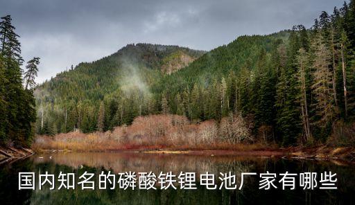 國(guó)內(nèi)知名的磷酸鐵鋰電池廠家有哪些