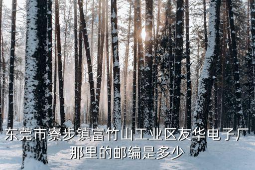 東莞市寮步鎮(zhèn)富竹山工業(yè)區(qū)友華電子廠那里的郵編是多少