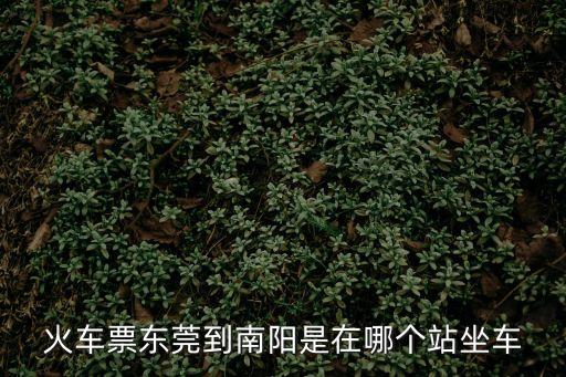 火車票東莞到南陽是在哪個站坐車