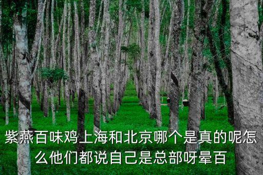 上海市紫燕百味雞川沙店，紫燕百味雞上海和北京哪個是真的呢怎么他們都說自己是總部呀暈百