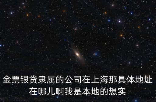 金票銀貸隸屬的公司在上海那具體地址在哪兒啊我是本地的想實(shí)