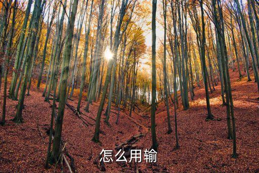 怎么用輸