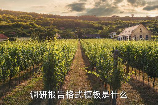 調研報告基本格式，調查報告的標準格式