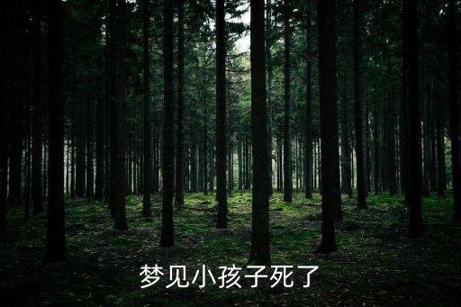 夢見小孩子死了