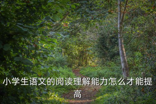 小學(xué)生語(yǔ)文的閱讀理解能力怎么才能提高