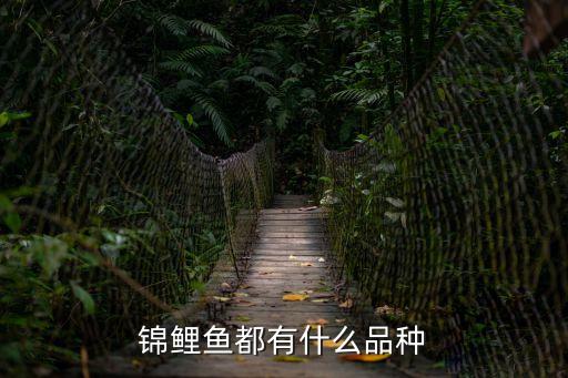 錦鯉品種，錦鯉魚都有什么品種