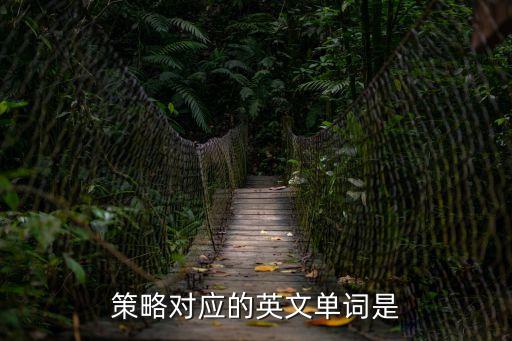 戰(zhàn)略的英文，企業(yè)品牌營(yíng)銷戰(zhàn)略用英文怎么寫