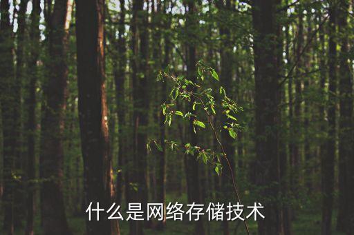 什么是網絡存儲技術