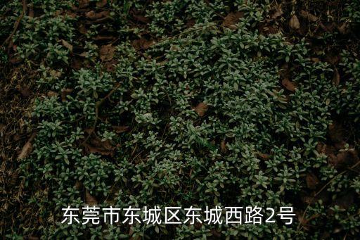 東莞市東鴻物業(yè)，想在東莞做保安介紹一下好地方