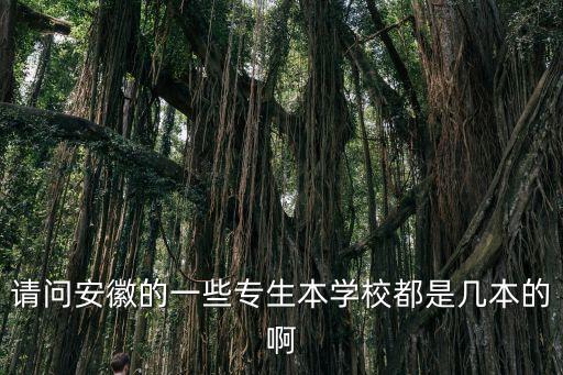 請問安徽的一些專生本學校都是幾本的啊