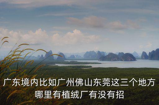 東莞植絨布廠家，廣東境內比如廣州佛山東莞這三個地方哪里有植絨廠有沒有招
