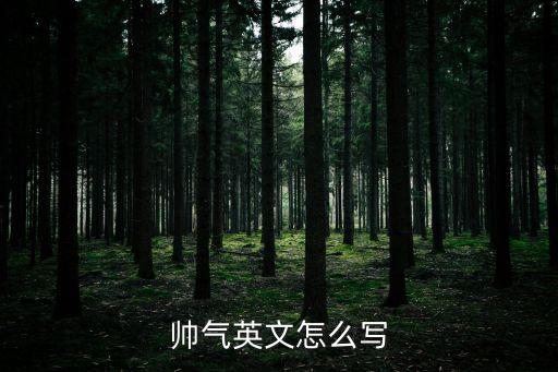 帥氣英文怎么寫
