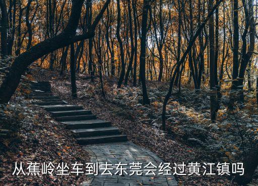 從蕉嶺坐車到去東莞會經過黃江鎮嗎