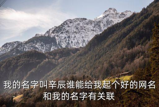 我的名字叫辛辰誰能給我起個好的網名和我的名字有關聯