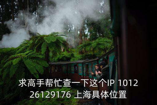 求高手幫忙查一下這個(gè)IP 101226129176 上海具體位置