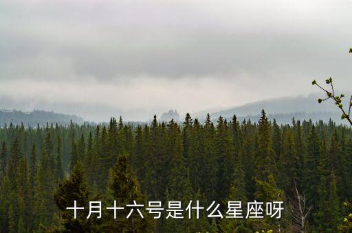 十月十六號是什么星座呀