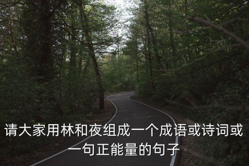 請大家用林和夜組成一個成語或詩詞或一句正能量的句子