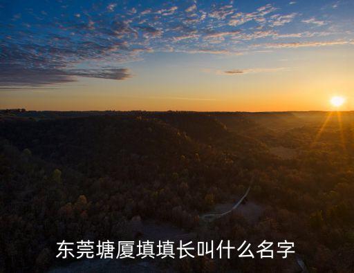 東莞塘廈填填長叫什么名字