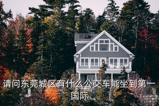 請問東莞城區有什么公交車能坐到第一國際