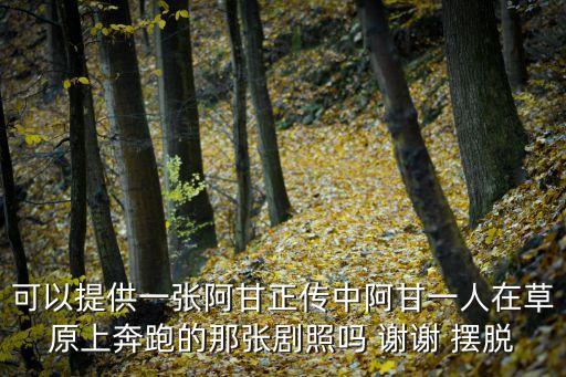 可以提供一張阿甘正傳中阿甘一人在草原上奔跑的那張劇照嗎 謝謝 擺脫