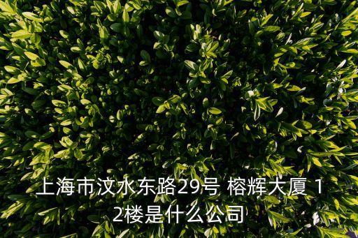 上海市汶水東路29號(hào) 榕輝大廈 12樓是什么公司