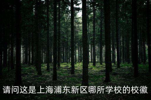 請問這是上海浦東新區(qū)哪所學(xué)校的校徽