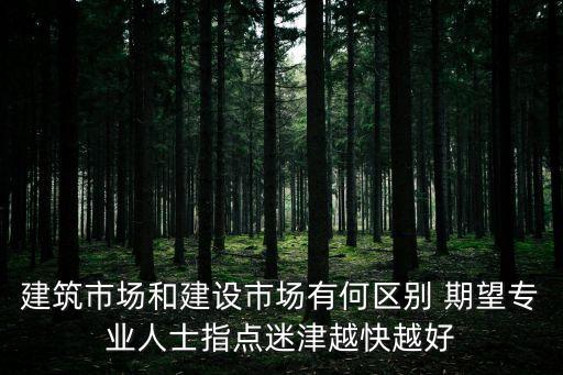 建筑市場和建設市場有何區別 期望專業人士指點迷津越快越好