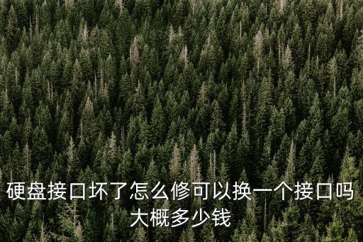 硬盤接口壞了怎么修可以換一個(gè)接口嗎大概多少錢