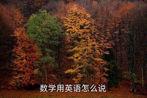數(shù)學(xué)用英語怎么說
