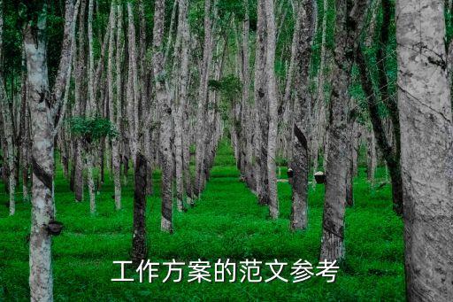 工作方案模板，工作計(jì)劃的格式