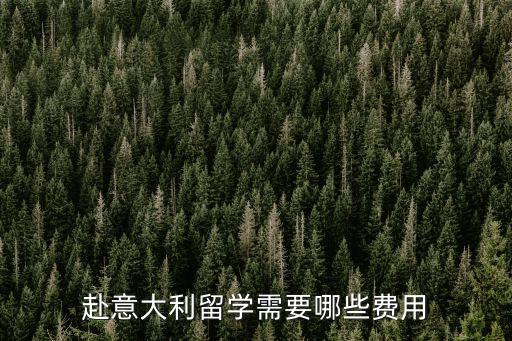 赴意大利留學(xué)需要哪些費用