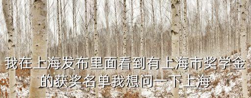 我在上海發布里面看到有上海市獎學金的獲獎名單我想問一下上海
