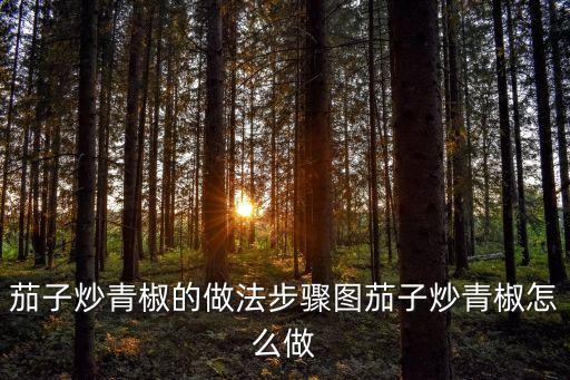 茄子炒青椒的做法步驟圖茄子炒青椒怎么做