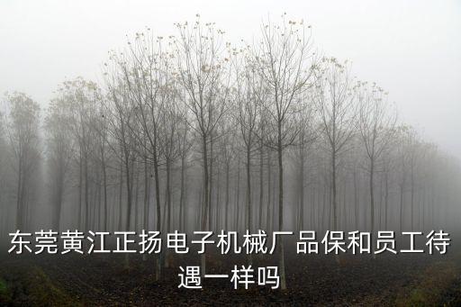 東莞正揚(yáng)電子坑嗎，東莞正揚(yáng)電子廠是做什么的