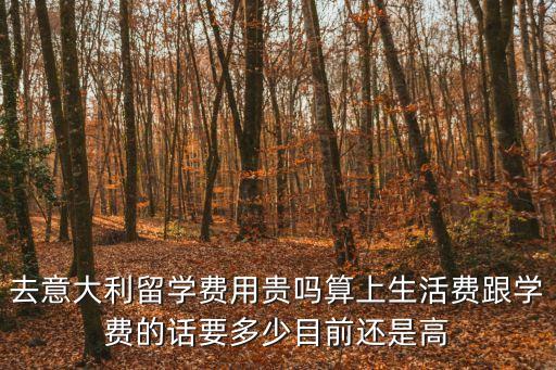 去意大利留學(xué)費(fèi)用，意大利留學(xué)費(fèi)用問題急