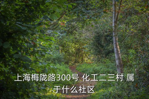 上海梅隴路300號(hào) 化工二三村 屬于什么社區(qū)