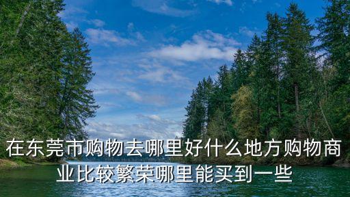 在東莞市購物去哪里好什么地方購物商業比較繁榮哪里能買到一些