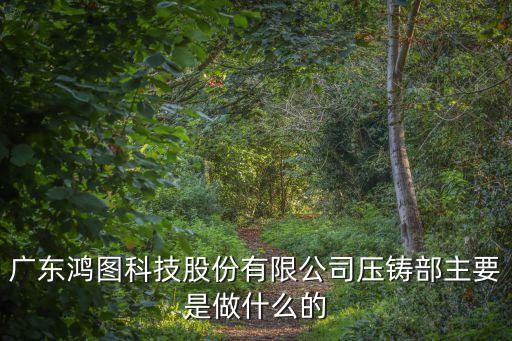 廣東鴻圖科技股份有限公司壓鑄部主要是做什么的