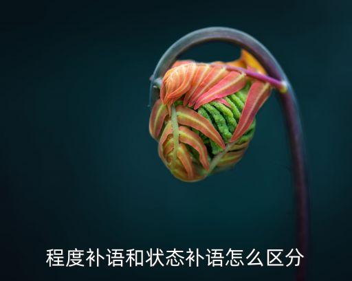 程度補語，程度補語和狀態(tài)補語怎么區(qū)分