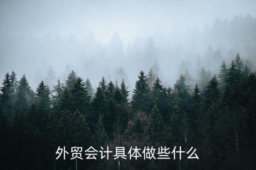 外貿會計具體做些什么
